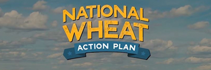 National Wheat Action Plan Video Goes Viral!