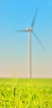 bigstock Wind turbines in a wheat field 85076861